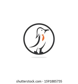 Penguin with tie vector logo design.	
