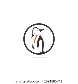 Penguin with tie vector logo design.	
