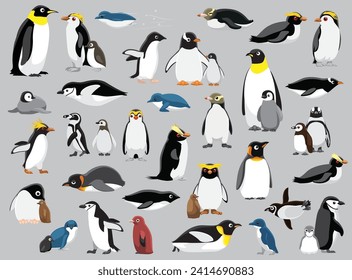 Penguin Town Various Species Vector Illustration