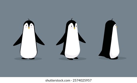 Penguin turn around character. Vector illustration of a cute penguins. Isolated on grey background