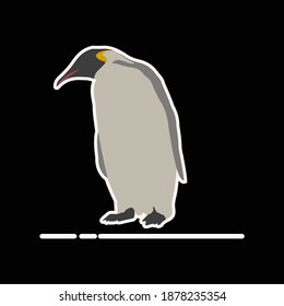 Penguin vector art and graphics