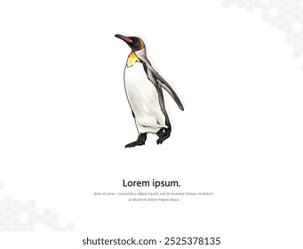 Arte vectorial de pingüino para la decoración de la pared. Imágenes animales realistas. Animal de aves de corral dibujado a mano aislado. para investigación, decoración de habitaciones, eventos, etc