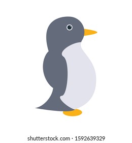 penguin vector flat color icon 