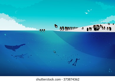 Penguin vector illustration