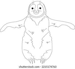 Penguin vector illustration design sketch