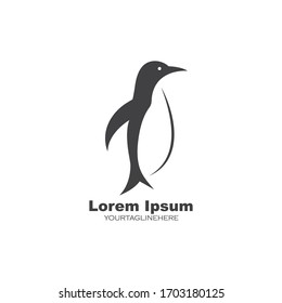 penguin vector illustration design template