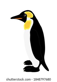 Penguin vector illustration isolated on white background. Big polar bird symbol.