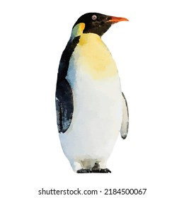 Penguin vector illustration. Penguin on white background. Arctic wildlife picture. Northern fauna. Polar bird hand drawn. Watercolor style. Clipart for logo, greeting card and design.