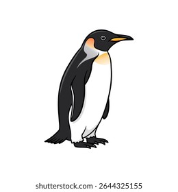 penguin vector illustration on white background