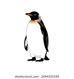 penguin vector illustration on white background