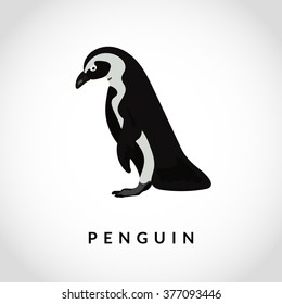 Penguin vector illustration. Realistic bird.  Black and white