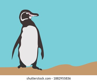 Imagen vectorial del pingüino Galápagos. Animales en peligro de extinción. Es el único pingüino que vive en el ecuador. (Nombre científico: Sfeniscus mendiculus). La mayor parte de esta especie encontró las islas Isabela y Fernandina. 