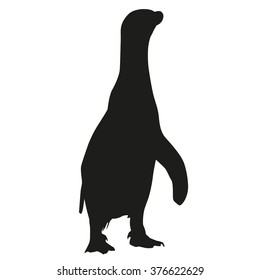 Penguin vector isolated silhouette