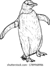A penguin waddling on the ground. Hand drawn vector illustration.