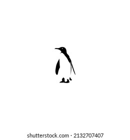 penguin walking at the poles