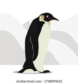 Penguin walks among the snowy mountains