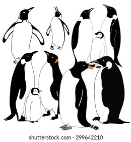 Penguin world - illustration of various penguins 