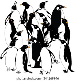 Penguin world illustration - various penguins