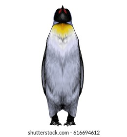 penguin with a yellow breast is in full growth is symmetrical, the sketch vector graphics color picture