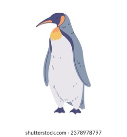 Penguin with yellow collar. Big Emperor or King penguin. North flightless seabirds of Antarctica. Cartoon nature pole animal vector illustration. Arctic fauna wild mammal isolated on white