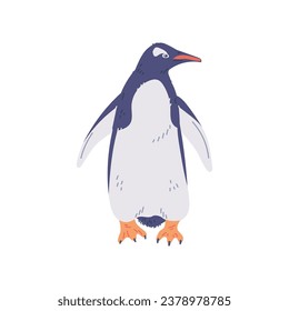 Penguin with yellow paws. Gentoo penguin. North flightless seabirds of Antarctica. Cartoon nature pole animal vector illustration. Arctic fauna wild mammal isolated on white