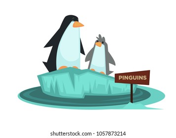 Penguin zoo animal and wooden signboard vector cartoon icon for zoological park