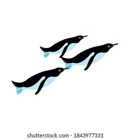 penguins animal design Sea life ecosystem fauna and ocean theme Vector illustration