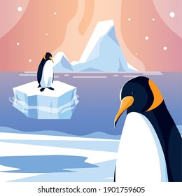 penguins animals iceberg north pole sea design vector illustration