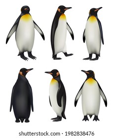 Pingüinos. Pingüinos rey de la vida silvestre antártica en un ambiente frío de estilo realista ilustraciones vectoriales decentes