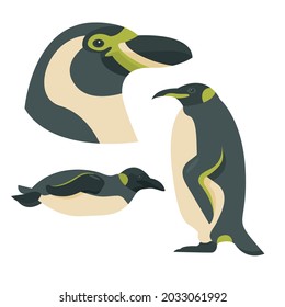 Penguins collection perfect for design element, print design, logo, mascot or etc