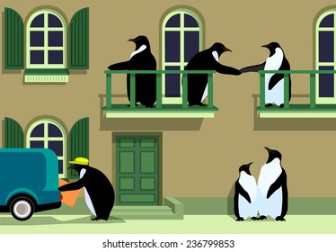 Penguin's communication