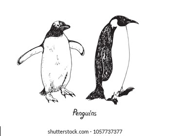 penguins holding hands sketch