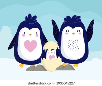 penguins egg shell little penguin