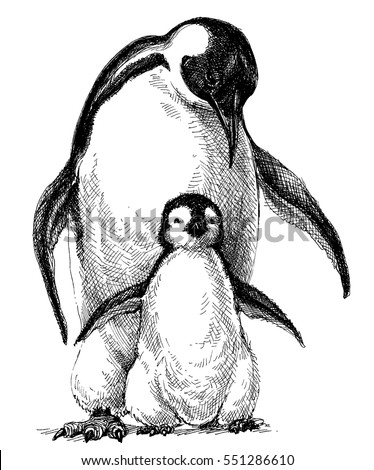 Penguins Family Cute Baby Penguin Parent Stock Vector Royalty Free