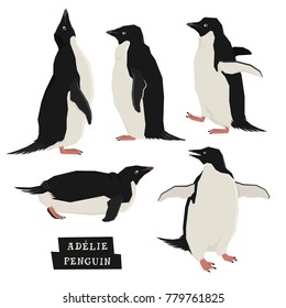 Penguins Geometric style