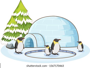 Penguins and igloo on white background illustration