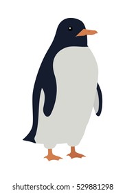 Penguins isolated on white. Aquatic, flightless bird living in Southern Hemisphere, in Antarctica. Has countershaded dark and white plumage, wings evolved into flippers. Sticker for children. Vector