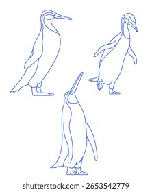 Penguins Kumimanu Penguins Kumimanu Penguins Kumimanu