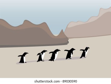 Penguins in a Line
