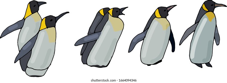 penguins in line isolated on white