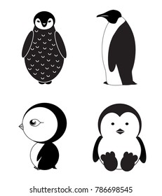 Penguins logos, black & white penguin illustrations