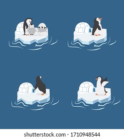 penguins on a piece of iceberg set