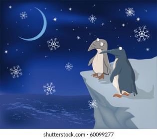 Penguins on a rock and snow