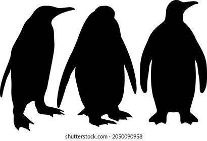 Pingüinos en el set. Imagen vectorial.