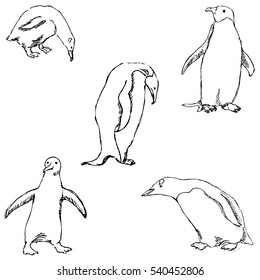 Penguins. A sketch by hand. Pencil drawing