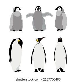 penguins small and big vector illustration