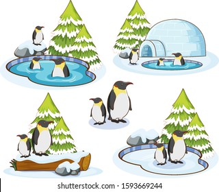 Penguins in snow winter illustration