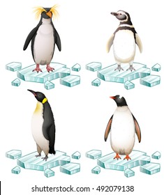Penguins standing on ice
