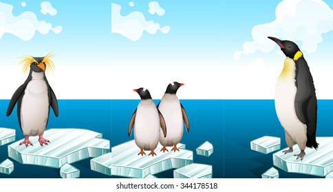 Penguins standing on iceberg illustration