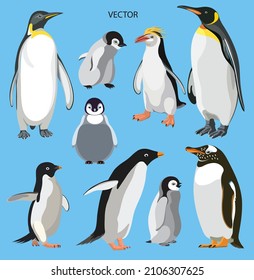 Penguins Vector in Blue Background